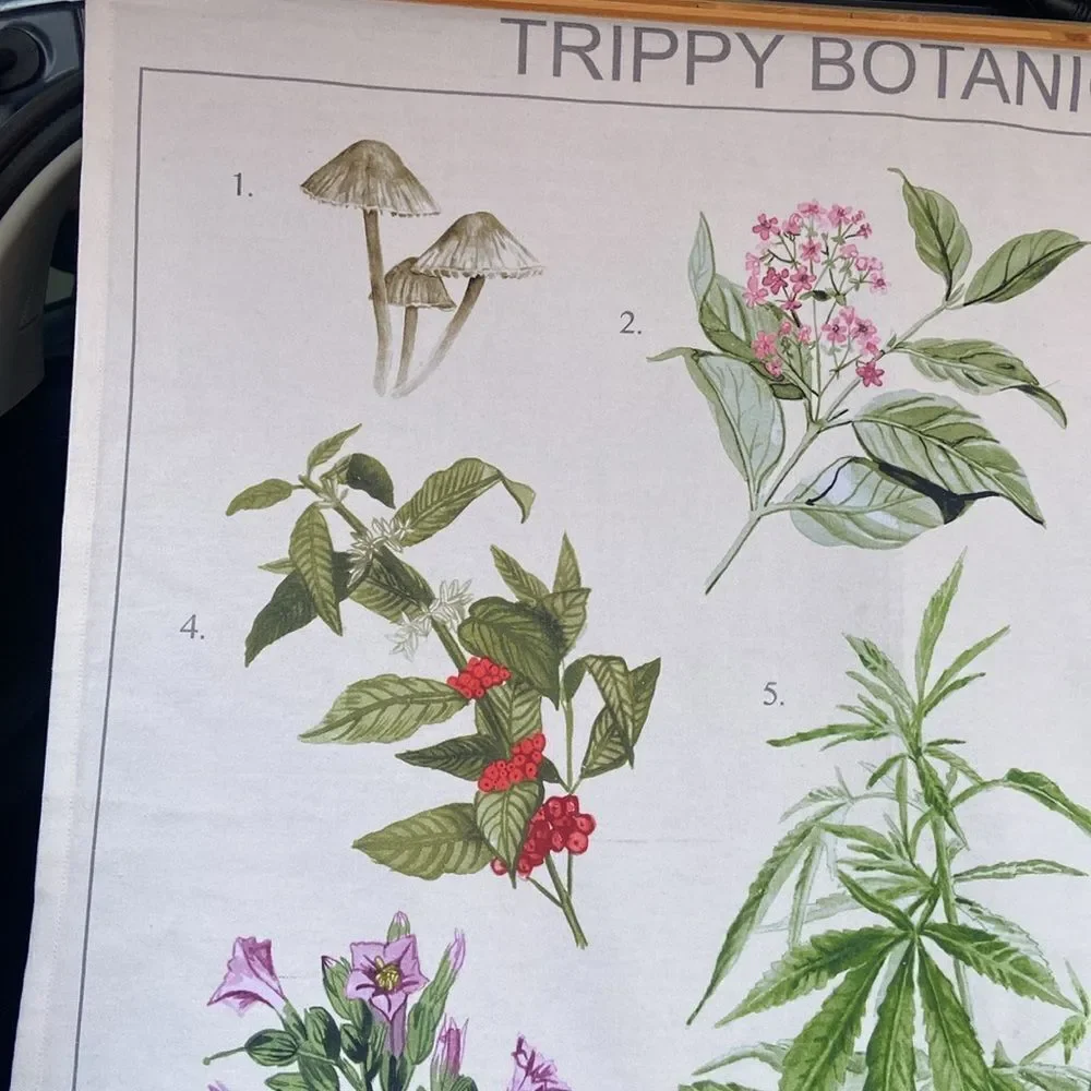 Trippy Botanicals Illustrated Tapestry Urban Outfitters wall hanging